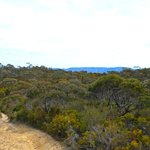 DSC_0585-2