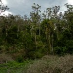 DSC00161