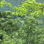 IMG_3244