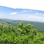 Dragon's tooth8-1.small