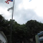 IMG_0022