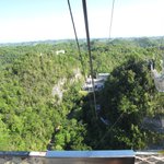 IMG_0079