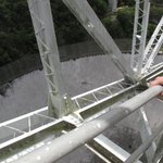 IMG_0235
