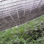 IMG_0325