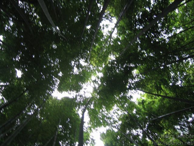 130_3020