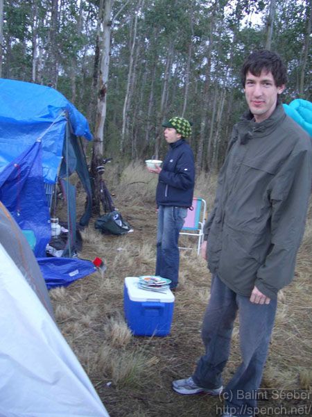 The morning after