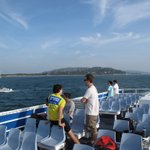 IMG_2823.JPG