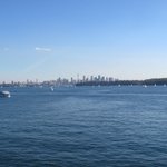 IMG_2909.JPG