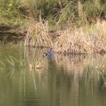 IMG_3049
