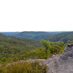 DSC_0613-2