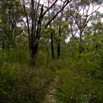 DSC00141
