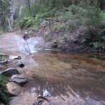 IMG_4572