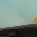 IMG_0183
