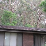 IMG_0011