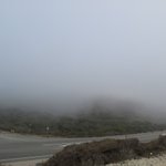 IMG_0009