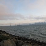 IMG_0005
