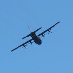 IMG_0011