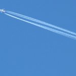 IMG_0001