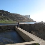 IMG_0010