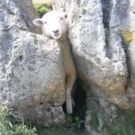 Sheep Rock