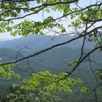IMG_3243