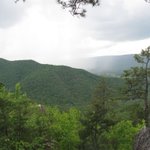 IMG_3277