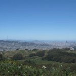 IMG_3524