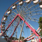 IMG_0003