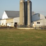 IMG_0009