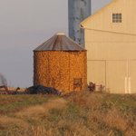 IMG_0025
