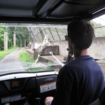 IMG_0258