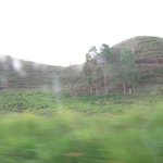 IMG_0379
