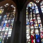 IPN_0022