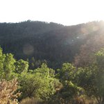 IMG_0005