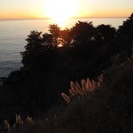 IMG_0024