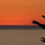 IMG_0041